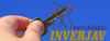 Foto de INVERJAV